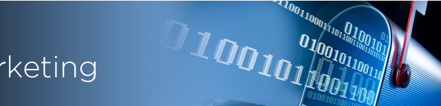 Online Marketing - Email List Rental