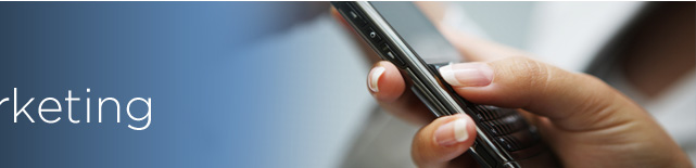 Online Marketing - SMS Text Marketing